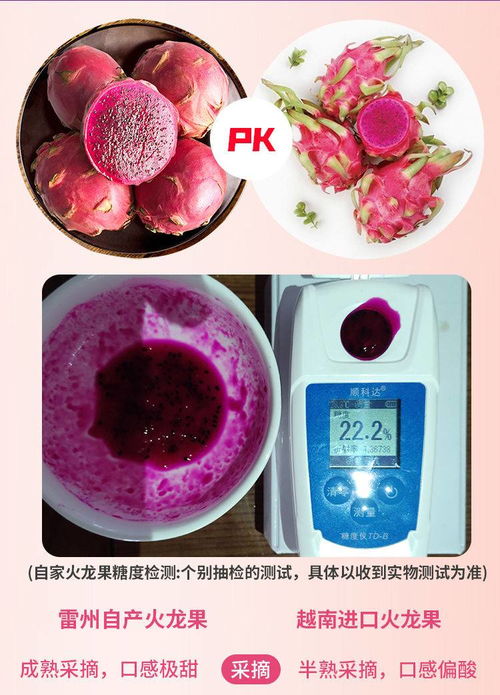 金都1号新鲜现摘应季红心火龙果批发 品味自然的甜蜜馈赠