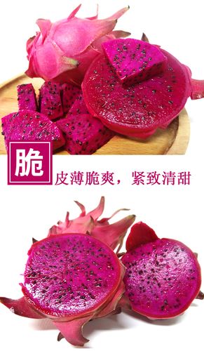 广东红心火龙果 中果 新鲜当季水果 五斤精装